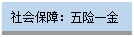 文本框:社會(huì)保障：五險(xiǎn)一金